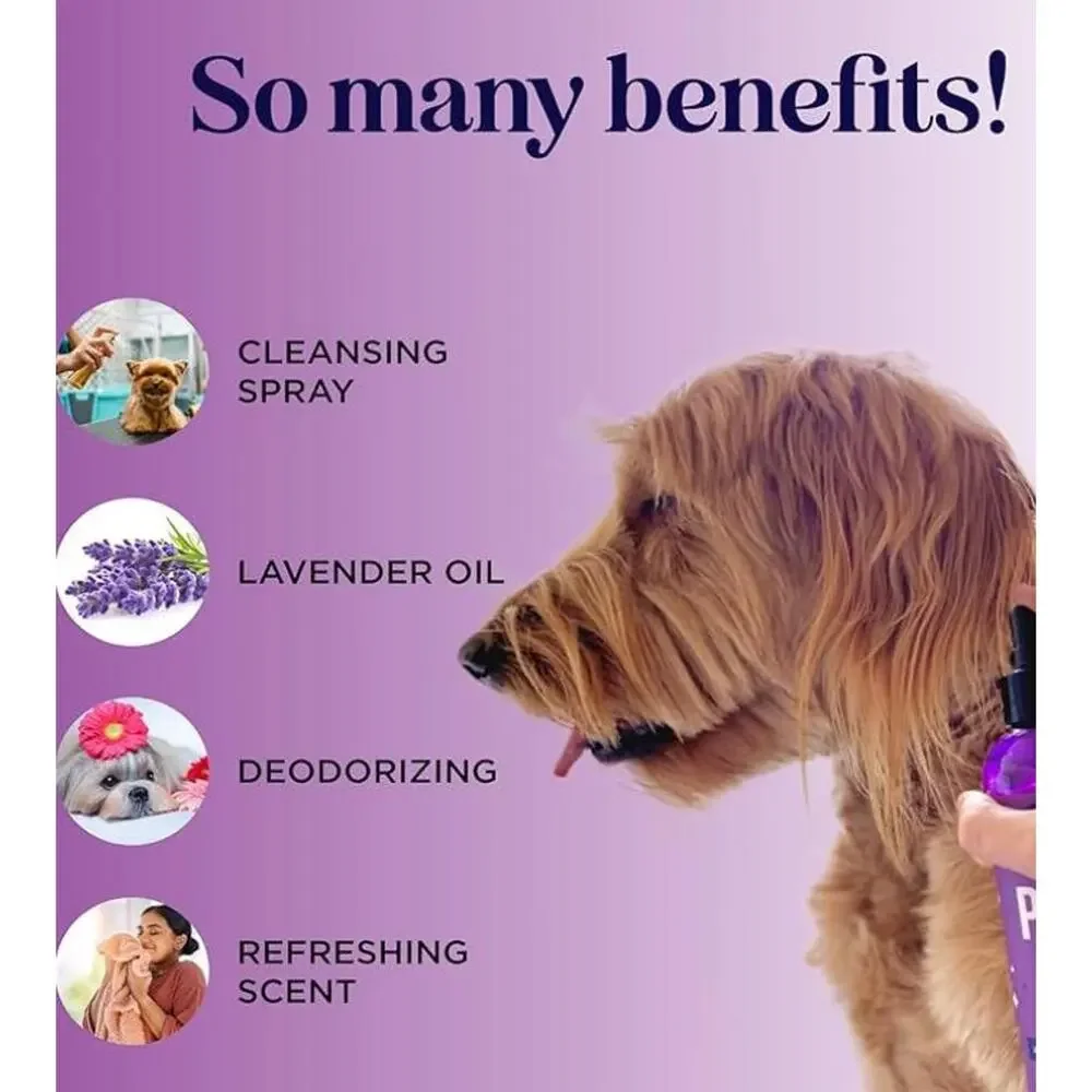 K9 Refresh Deoderizing Room Spray by Exfolia Essence offered in 5oz.